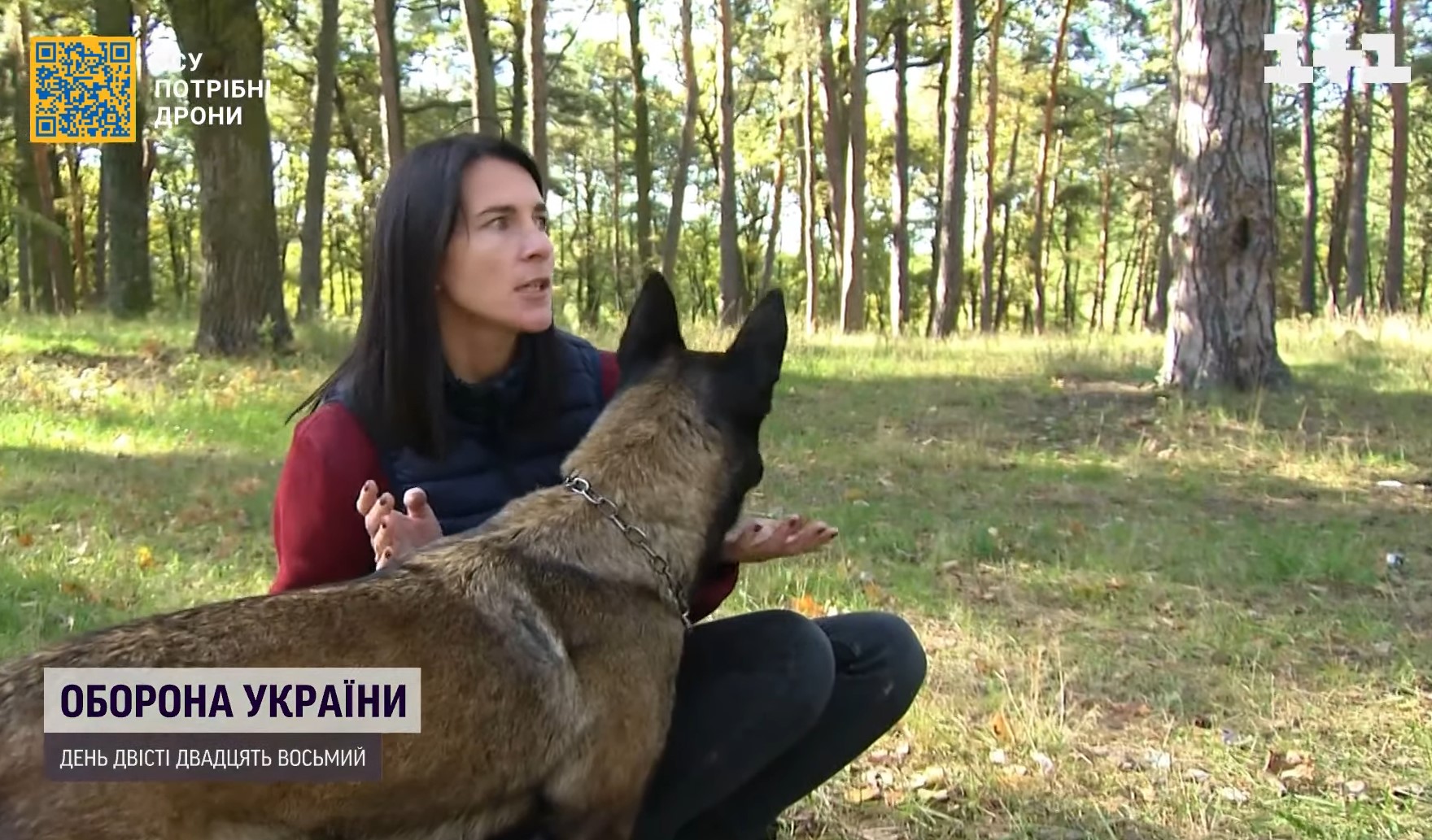 Собака Блика из Нацгвардии стала чемпионкой мира: невероятные фото и история героини