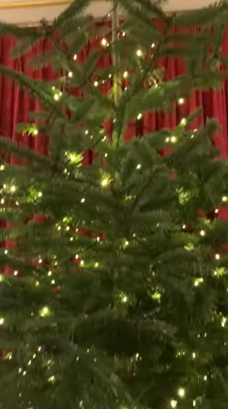 Появились фото и видео с Рождественской вечеринки королевской семьи, которая проводится 100 лет подряд