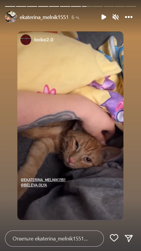 5 годин під руїнами з котиком у руках: жінка дивом вижила після удару РФ по дому в Запоріжжі
