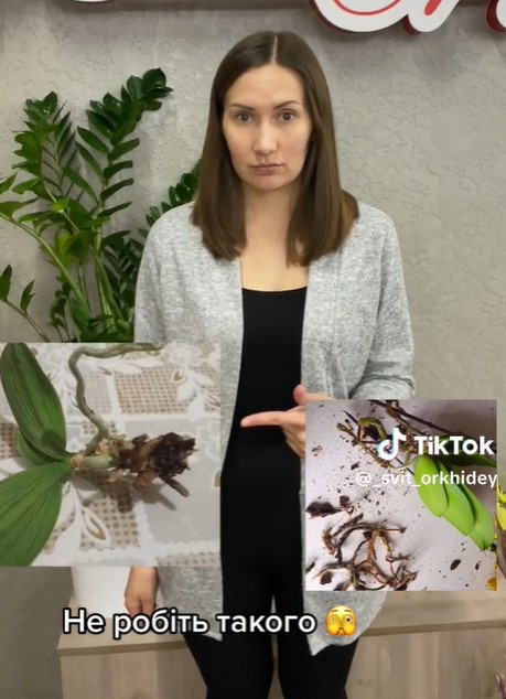 Никогда не делайте такого с орхидеей: ошибка, убивающая цветок