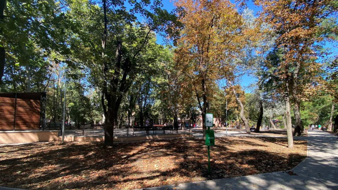 Чотири лапи і хвіст: що пропонують в нових ЖК для мешканців з тваринами