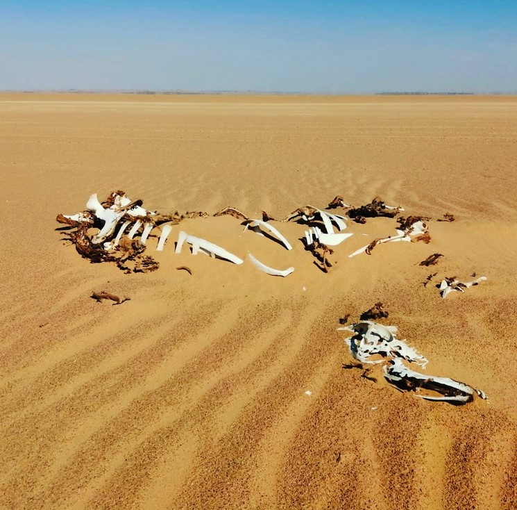 Непотрібні землі. Яка територія не належить жодній країні