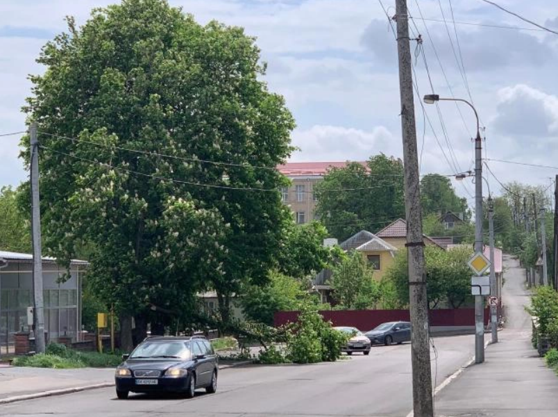 Мощный &quot;немецкий&quot; ураган разбушевался под Ровно: видео и фото стихии