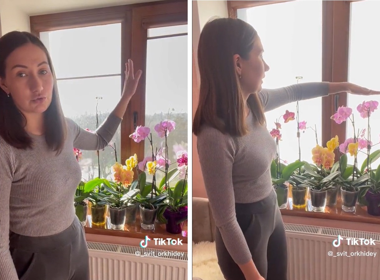 Зробіть це з орхідеєю у квітні, і вона віддячить розкішним цвітінням