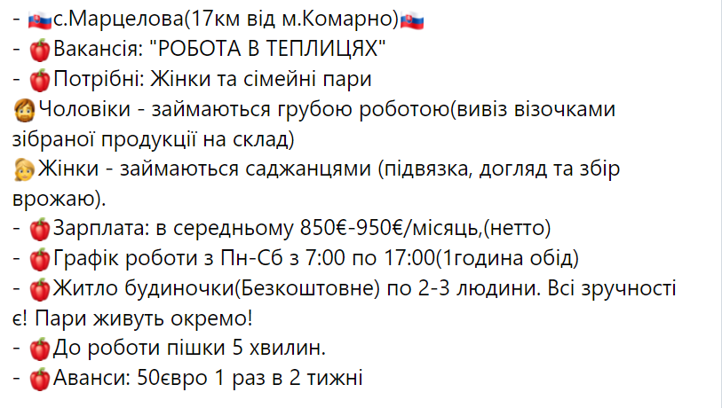 Вакансії для українців. Скільки можна заробити у Словаччині без знання мови