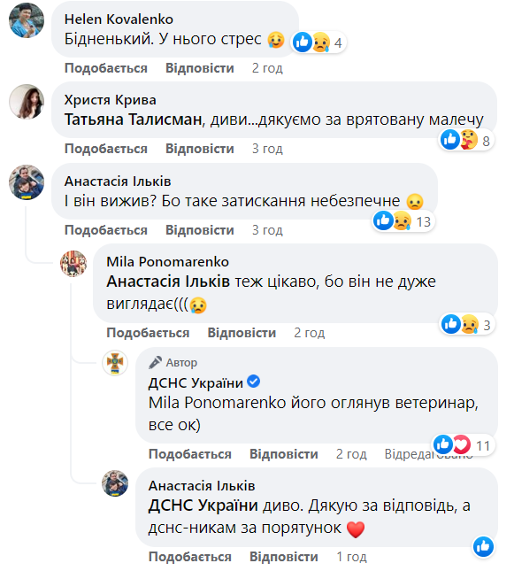 Бойцы ГСЧС провели спасательную операцию, вызволив застрявшего в заборе енотика (фото)