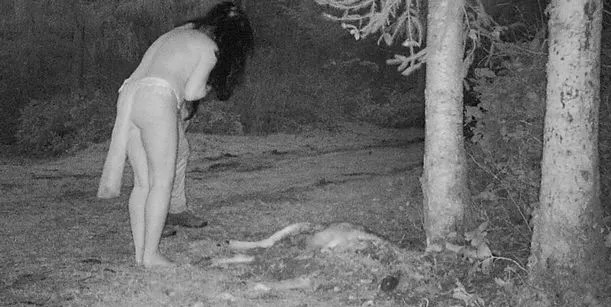 Жінка встановила камери спостереження в лісі і ледь не посивіла від побаченого (фото)
