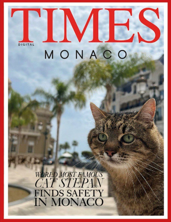 Кот Степан стал лицом обложки журнала Times Monaco: милые фото