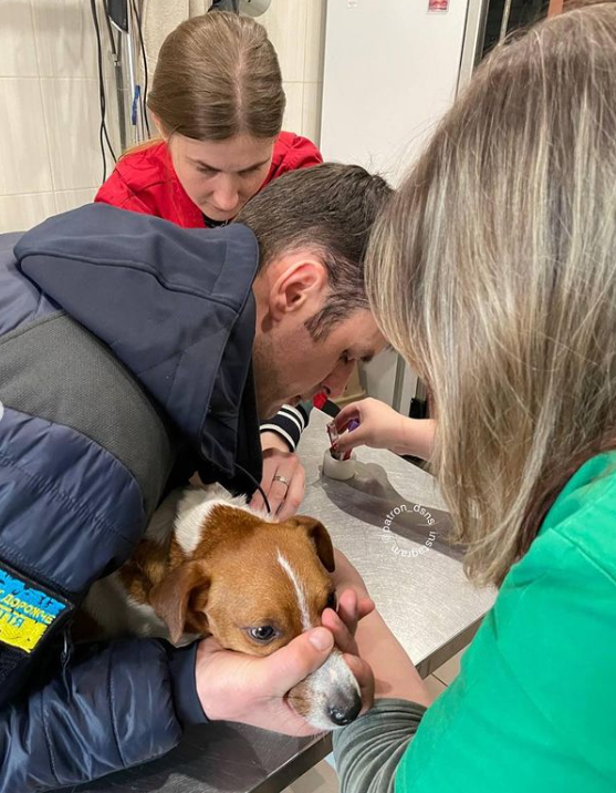 Пес Патрон угодил в клинику: что случилось