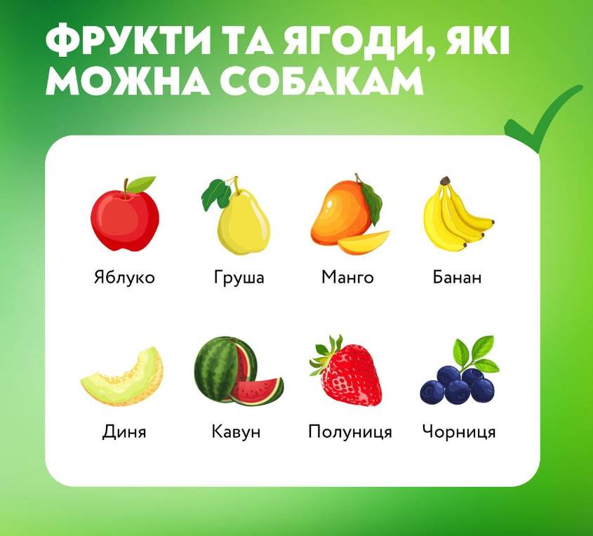Список заборонених фруктів