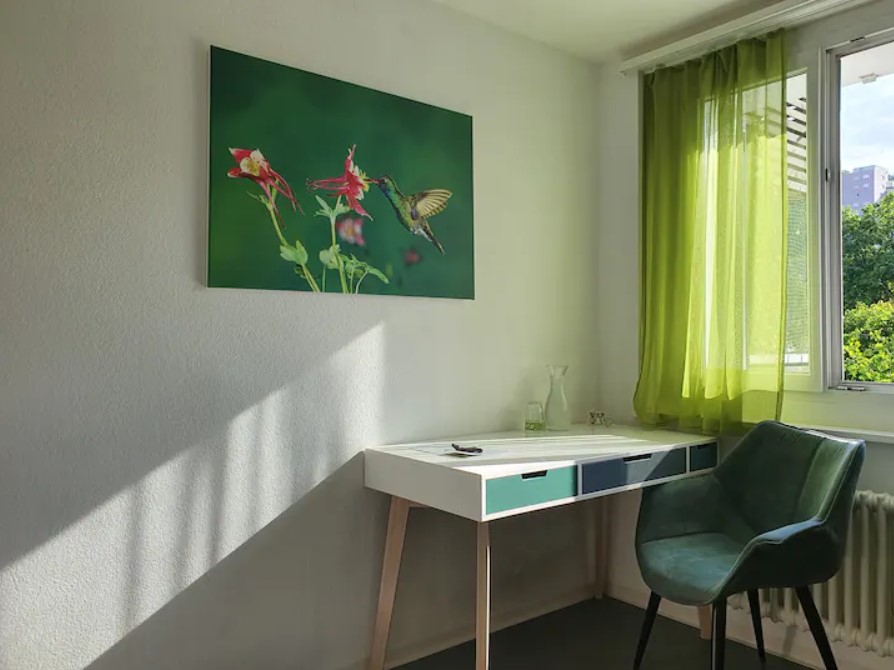 "Если только повезет". В Швейцарии для украинцев заканчивается бесплатное жилье