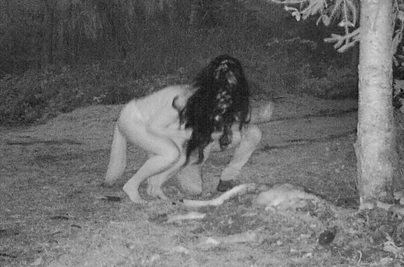 Женщина установила камеры наблюдения в лесу и чуть не поседела от увиденного (фото)