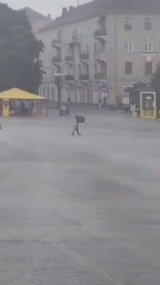 Поваленные деревья, град и ливни: что наделала непогода в Украине (фото, видео)