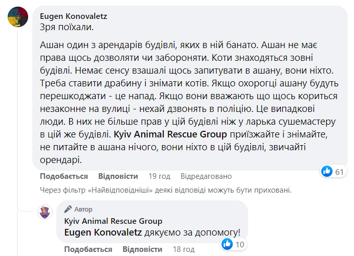 У Києві врятували котиків на даху супермаркету, попри &quot;небажання співробітників магазину&quot;