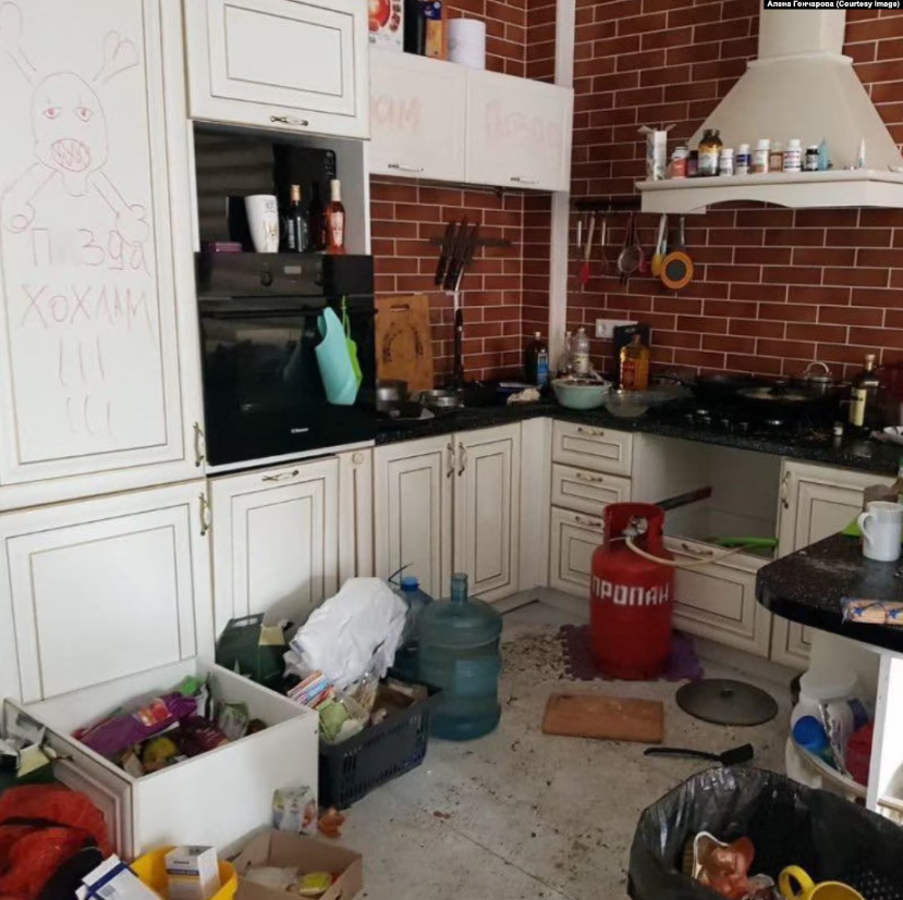 Пережил оккупацию и российский плен, сбежал в Беларуси и вернулся к семье: всплыли детали истории кота Макса из Бучи