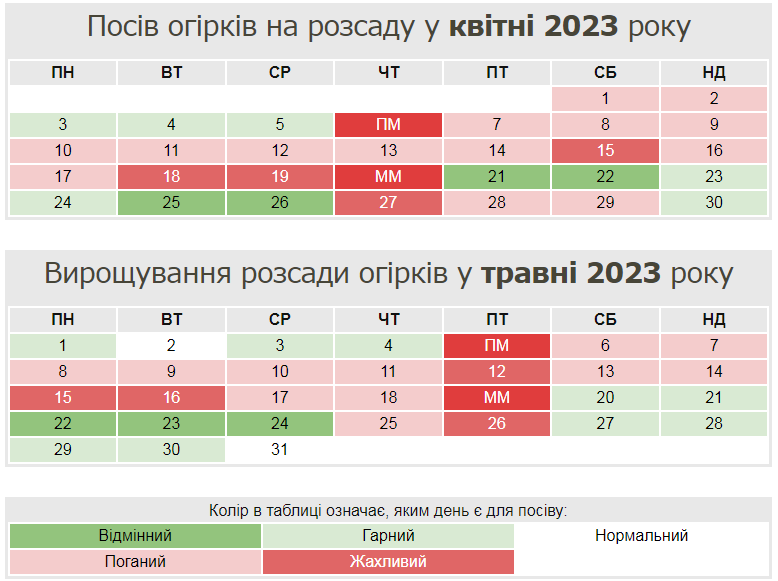 Выращиваем рассаду огурцов: когда и как сеять, чтобы собрать ранний урожай