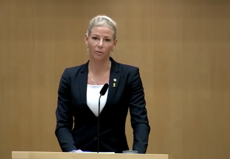 Екс-депутатка зі Швеції вирушила захищати Україну, змінивши костюм на піксель (відео)