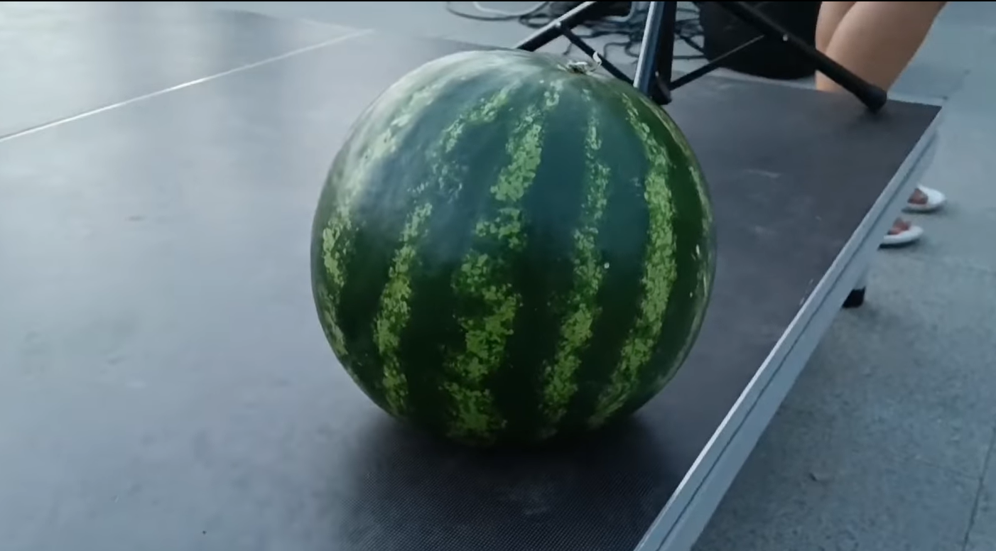 Херсонський кавун продали на аукціоні за 2 тисячі гривень. Гроші передадуть ЗСУ (відео)