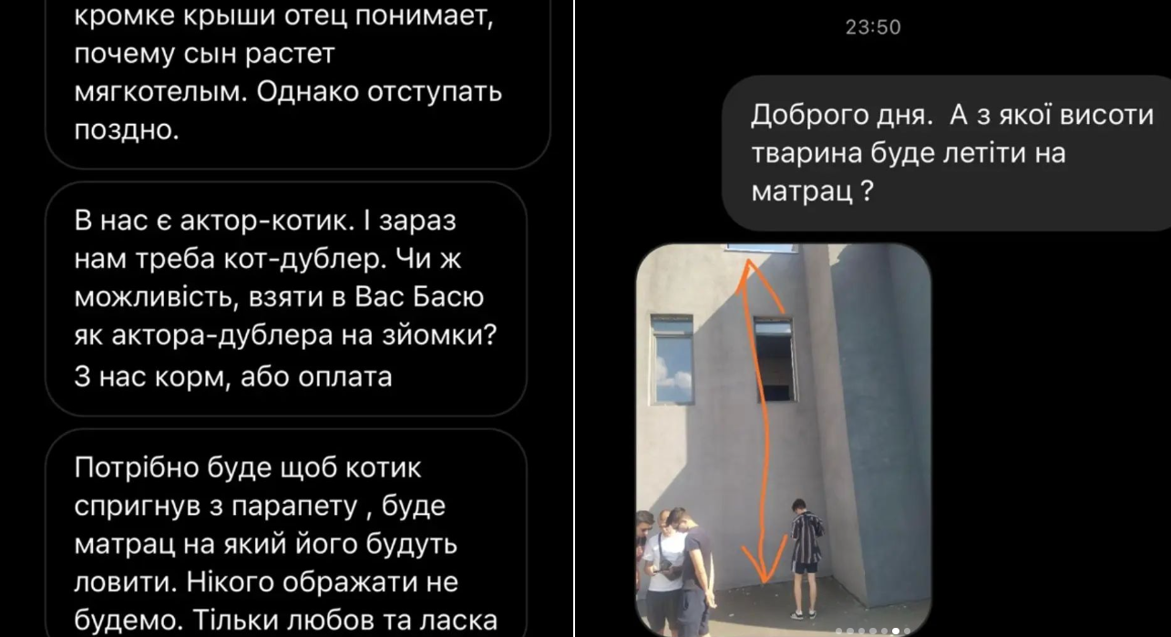 На зйомках фільму в Києві спалахнув скандал через пошук кота-дублера з притулку для стрибка з 2 поверху