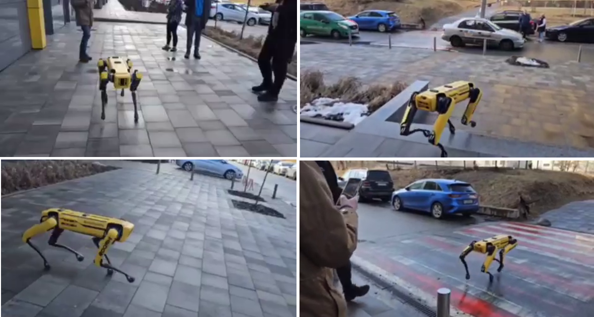 В Киеве заметили робота-пса Spot: разгуливал по улице, разминался в сквере (видео)