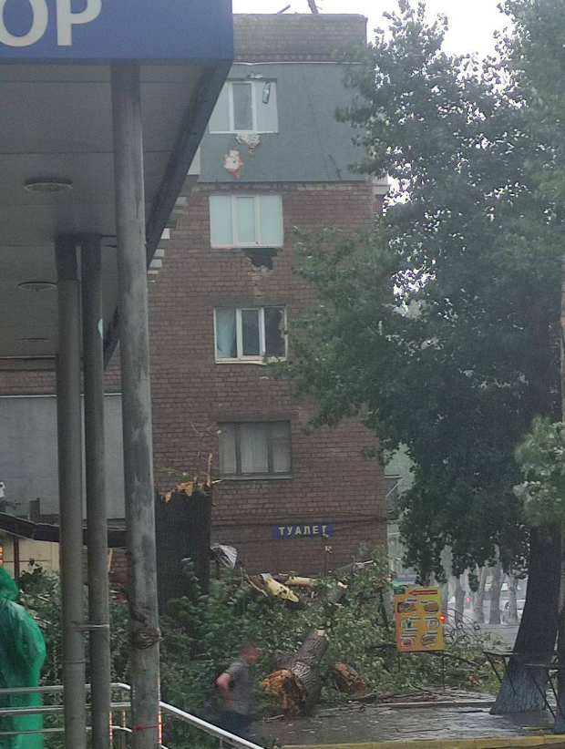 Руйнівний деревопад і річки на вулицях: відео наслідків зливи з буревієм у Кривому Розі