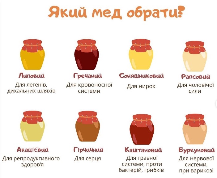 Для легенів, серця і "чоловічої сили": як правильно обрати мед для здоров'я