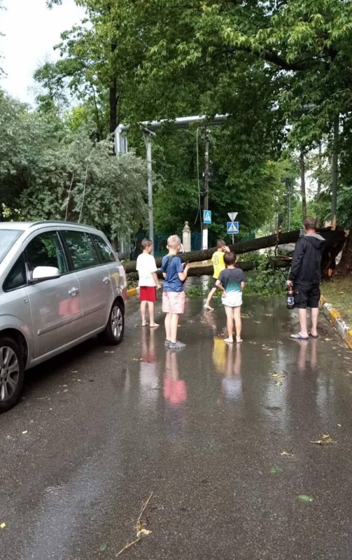 Молнии с градом, утонувшее авто и деревопад: видео и фото жуткой грозы в Киеве