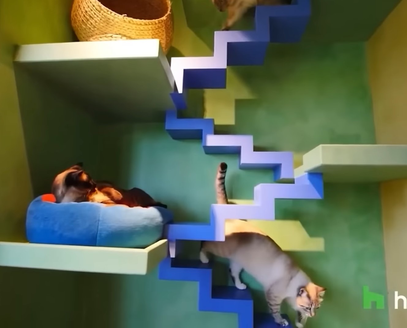 Самые странные дома в мире: вы будете поражены зданиями, в которых живут люди