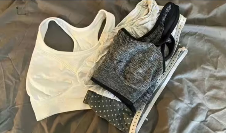 Кот-клептоман грабит соседей и приносит хозяйке дорогие вещи (фото)