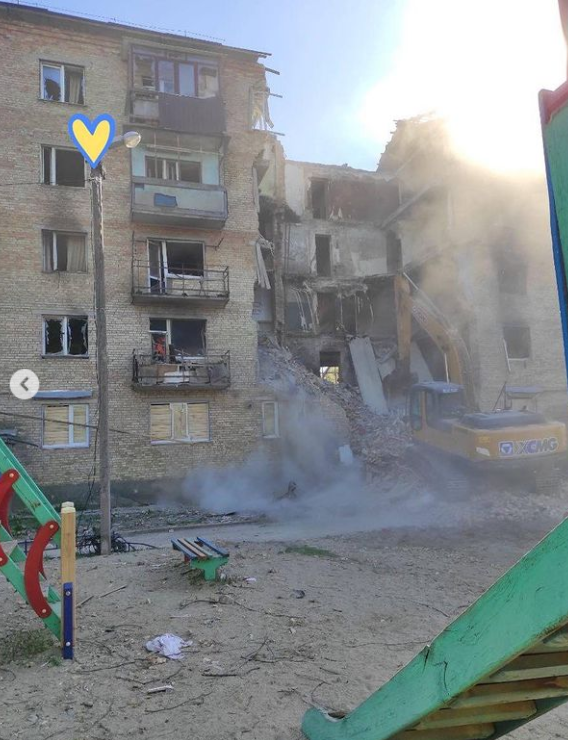 Біля Бучі з-під завалів будинку врятували кота рідкісної породи: Біггі вижив дивом (фото)