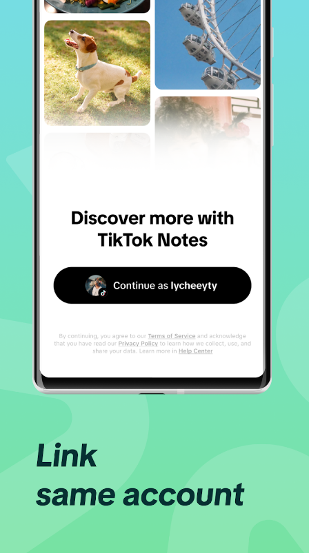 TikTok выпустил собственный аналог Instagram. Как выглядит TikTok Notes