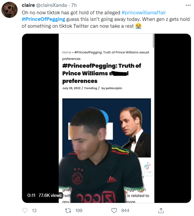 Измена с пристрастием: вот откуда слухи о Уильяме и Кейт и почему #PrinceOfPegging взорвал сеть