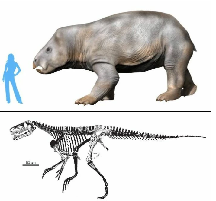 Рейтинг самых удивительных доисторических животных, найденных за последние десятилетия (фото)