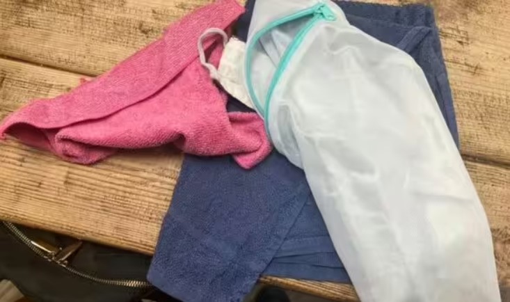 Кот-клептоман грабит соседей и приносит хозяйке дорогие вещи (фото)