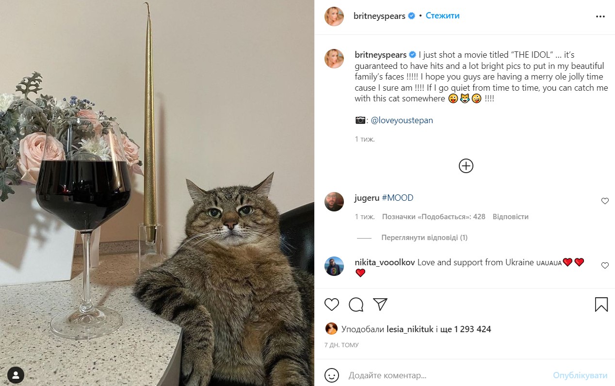 Пенсіонер, підібраний на вулиці: як насправді живе найзнаменитіший український кіт Степан