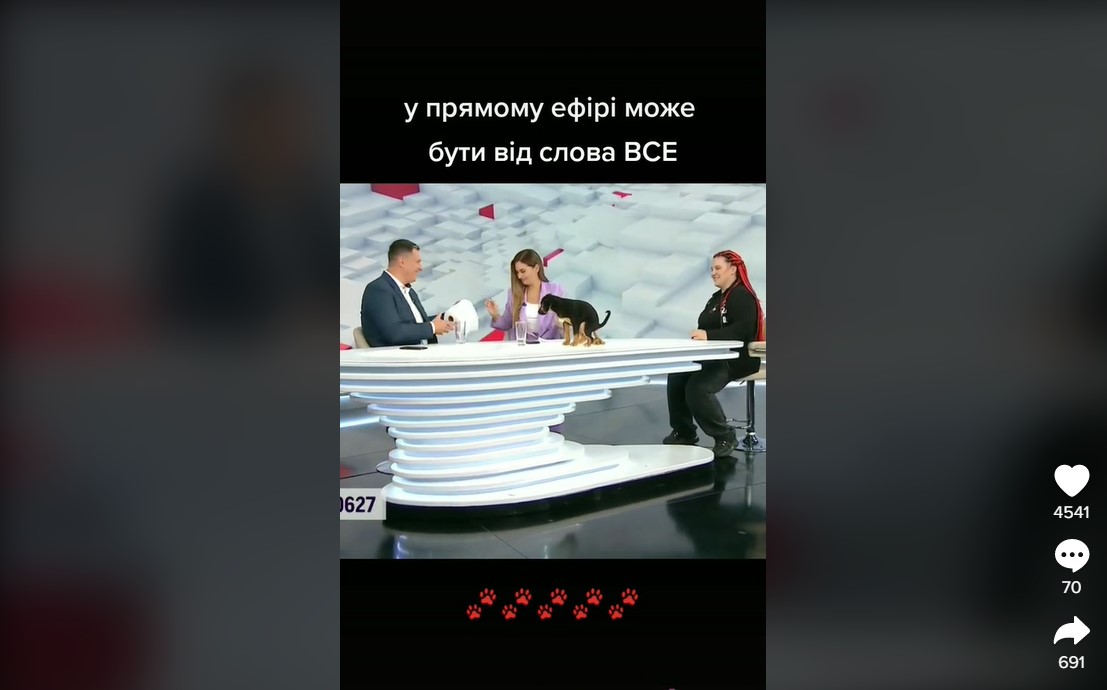 Ляпи в телемарафоні &quot;Єдині новини&quot; підривають мережу: дивіться відео 18+