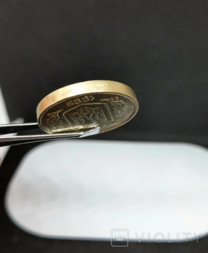 За цю 1-гривневу монету готові платити по 50 тисяч. Перевірте свої кишені (фото)