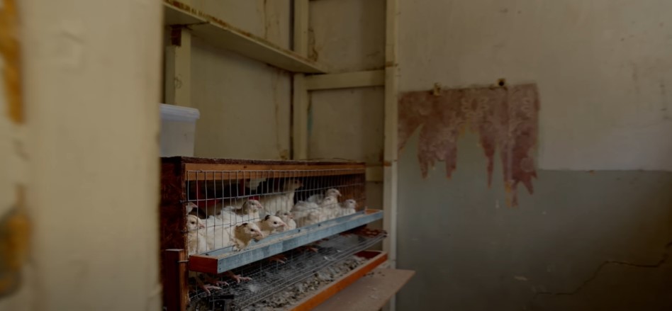 &quot;Полтавський палій&quot; Віталій Чепурко показав, як живе зараз, і зробив заяву про Путіна (відео)