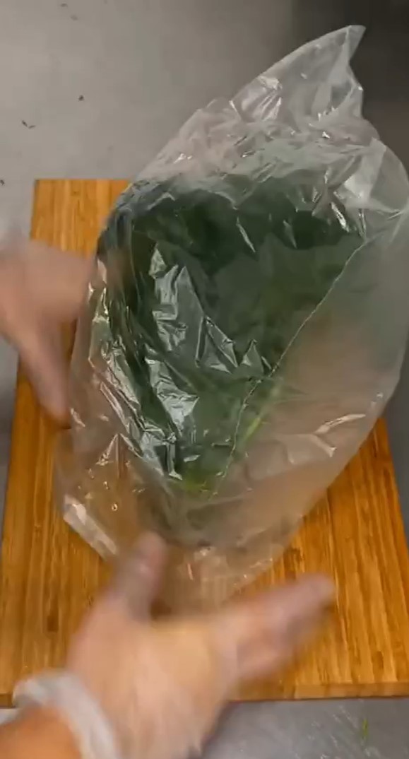 Як зберегти зелень свіжою 5-7 днів і навіть місяць: суперпрості способи