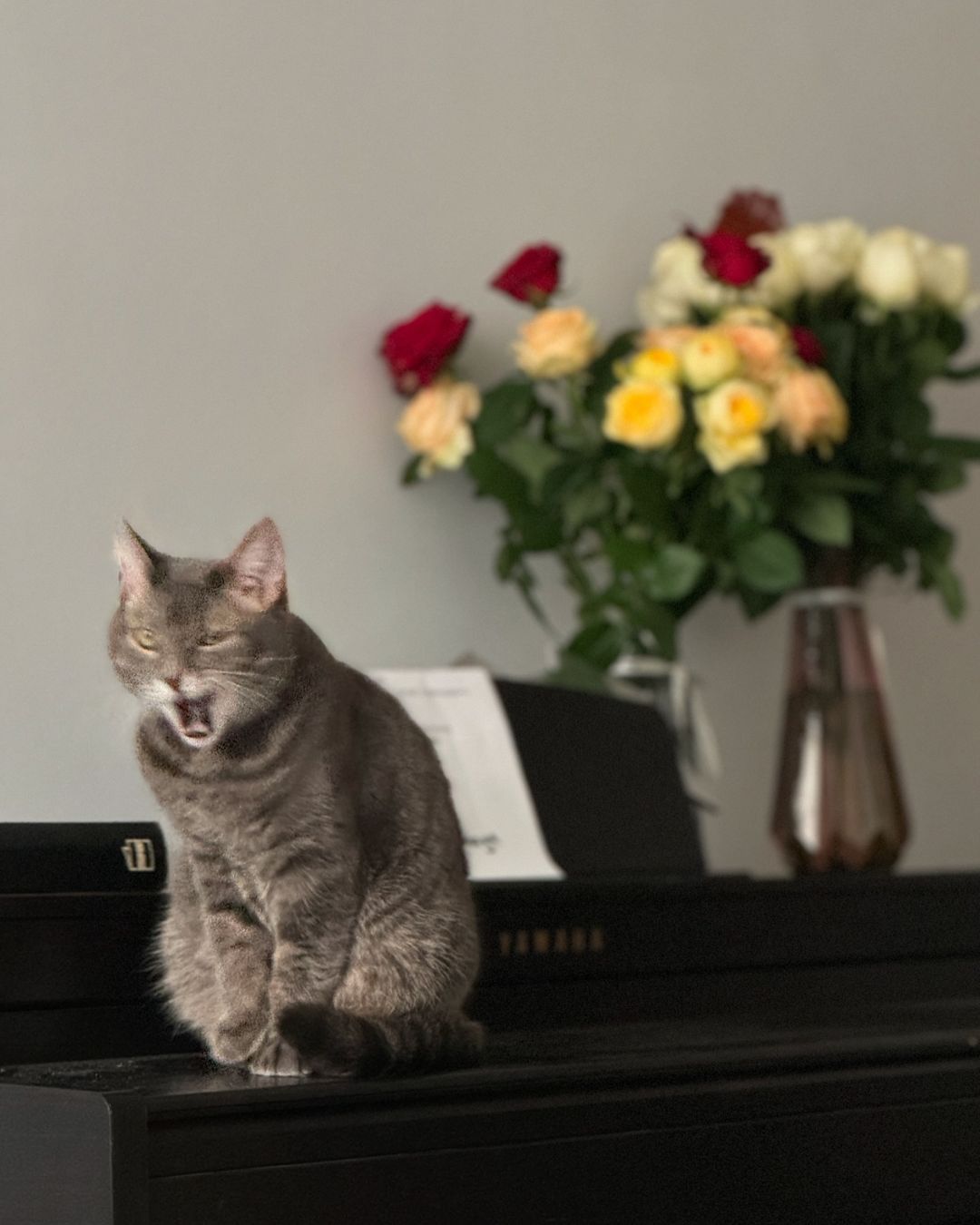 На фоне слухов о женитьбе Melovin честно рассказал о своей влюбленности