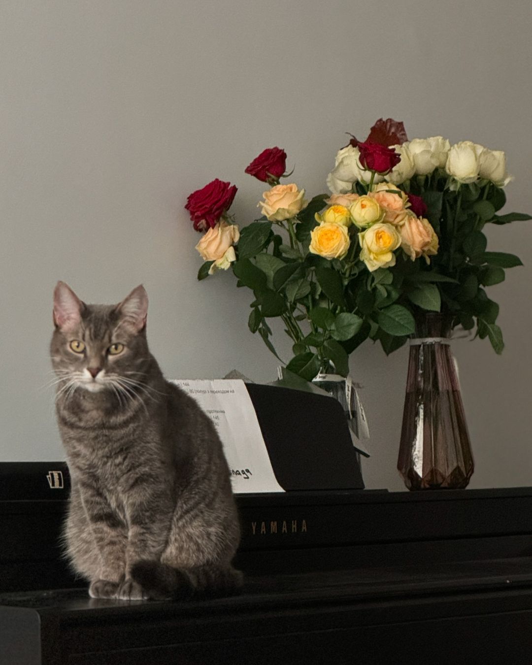 На фоне слухов о женитьбе Melovin честно рассказал о своей влюбленности