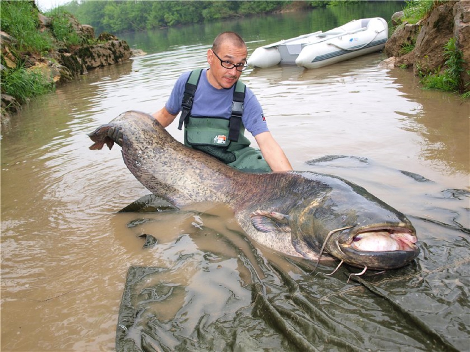 Как поймать 5 самых больших рыб в реках Украины