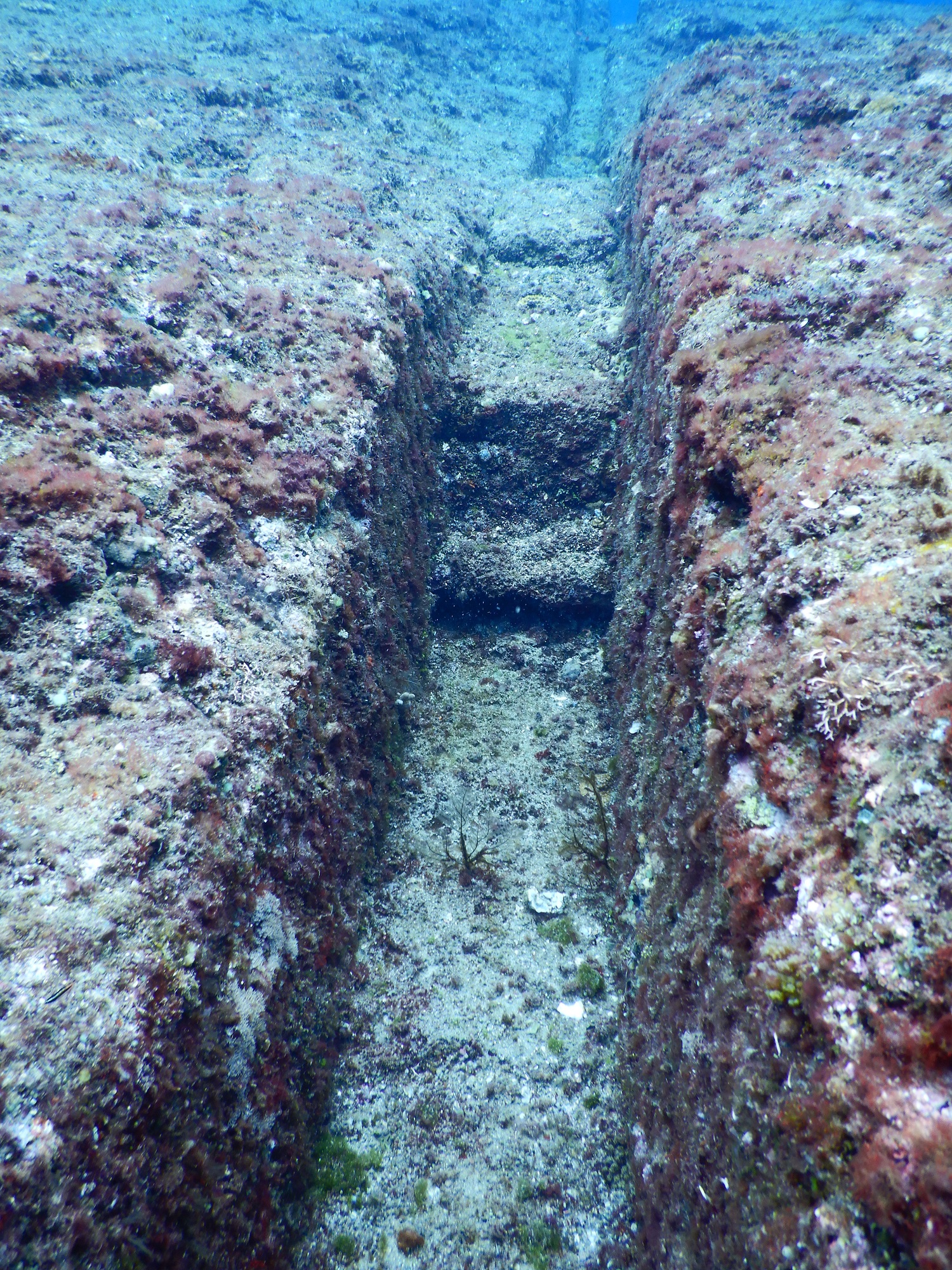 Велика підводна таємниця планети: що приховує "японська Атлантида" Йонаґуні