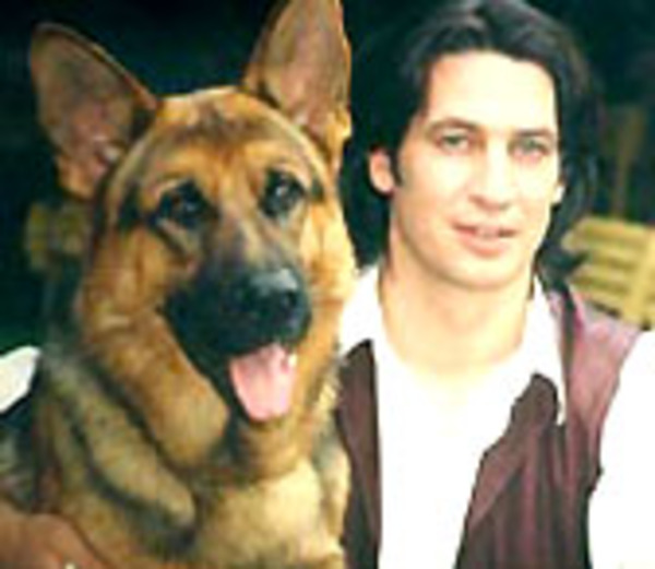 Ось які породи собак стали популярними завдяки кіно та мультикам