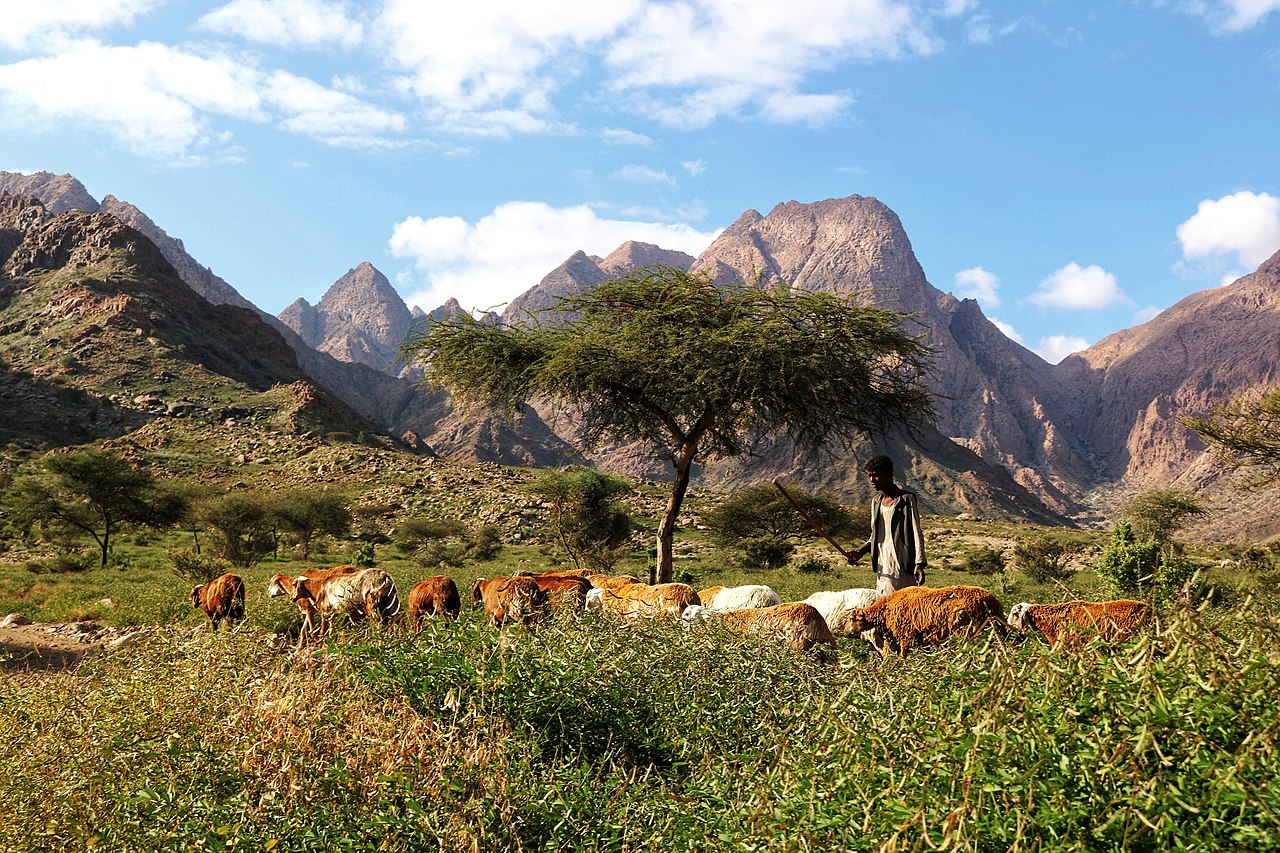 Непотрібні землі. Яка територія не належить жодній країні
