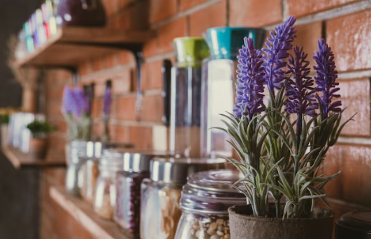 Ці кімнатні рослини сприяють здоровому та міцному сну: поставте їх в спальні