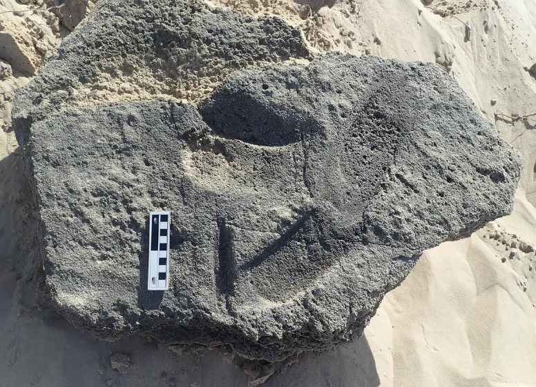 Новое открытие свидетельствует о том, что древние люди носили современный повседневный предмет