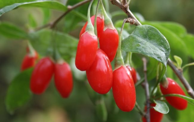 Эффективность не доказана. Вот список продуктов, польза которых переоценена