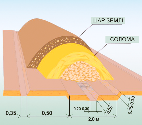 Природний холодильник, кращий за льох. Що таке бурт і як його зробити на городі