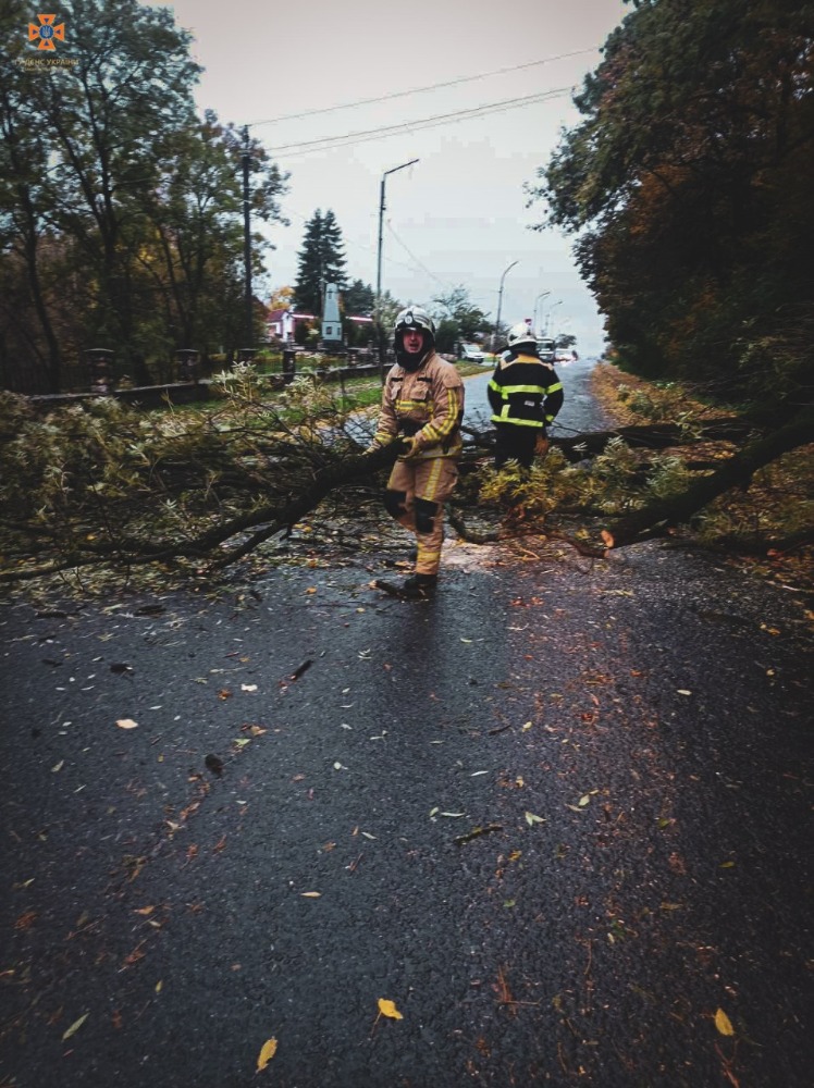 Жертви, деревопад та відключення світла: що відомо про наслідки шторму в Україні